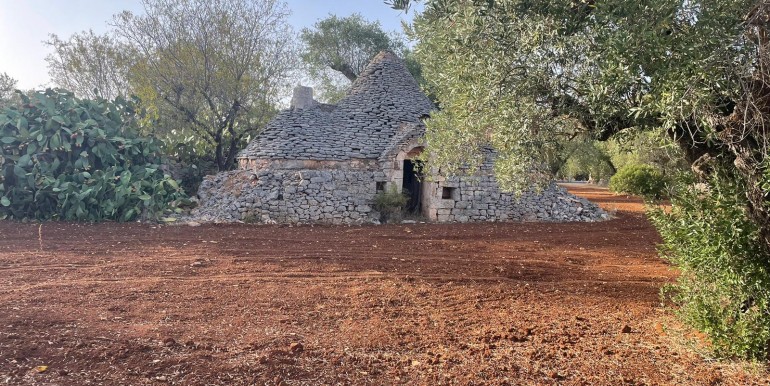Terrain avec Trulli à vendre à Francavilla Fontana, 16000 m²